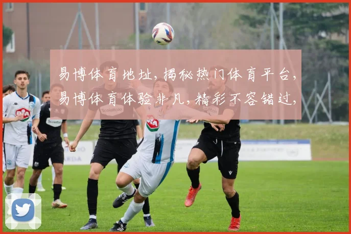 易博体育地址,揭秘热门体育平台,易博体育体验非凡,精彩不容错过,一探究竟